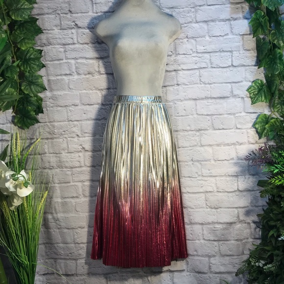 Anthropologie Ombre Pleated skirt - Picture 5 of 16